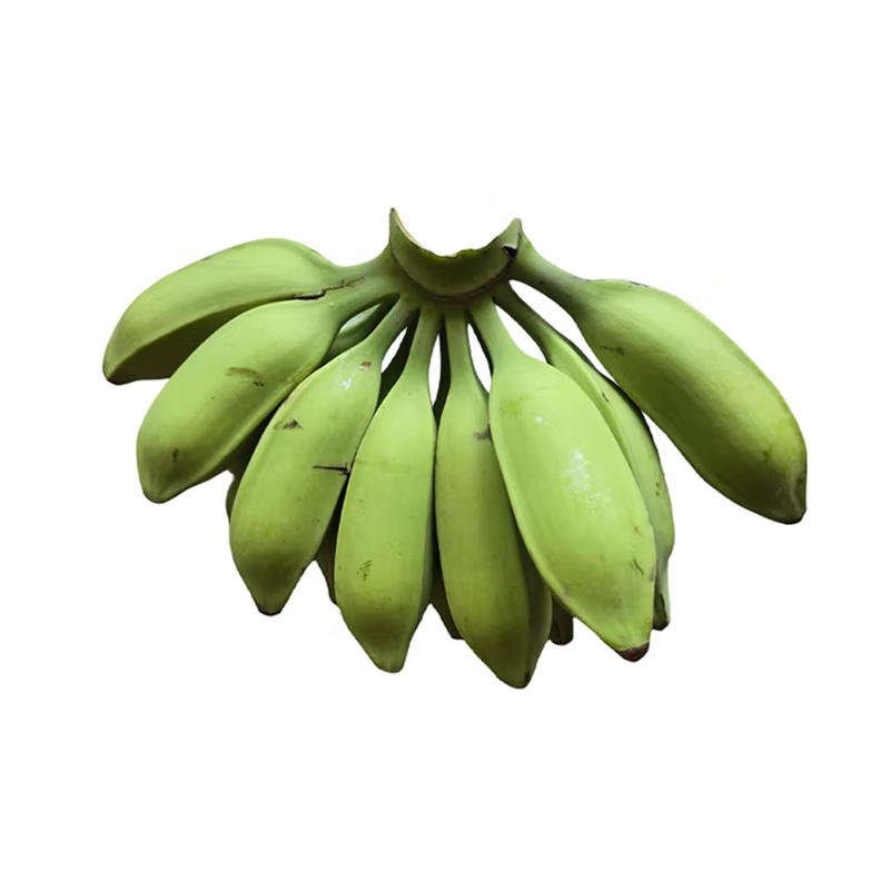 【西沛生鲜】牛角香蕉 净重9斤 箱装 新鲜当季水果 香甜软糯 孕妇宝宝辅食