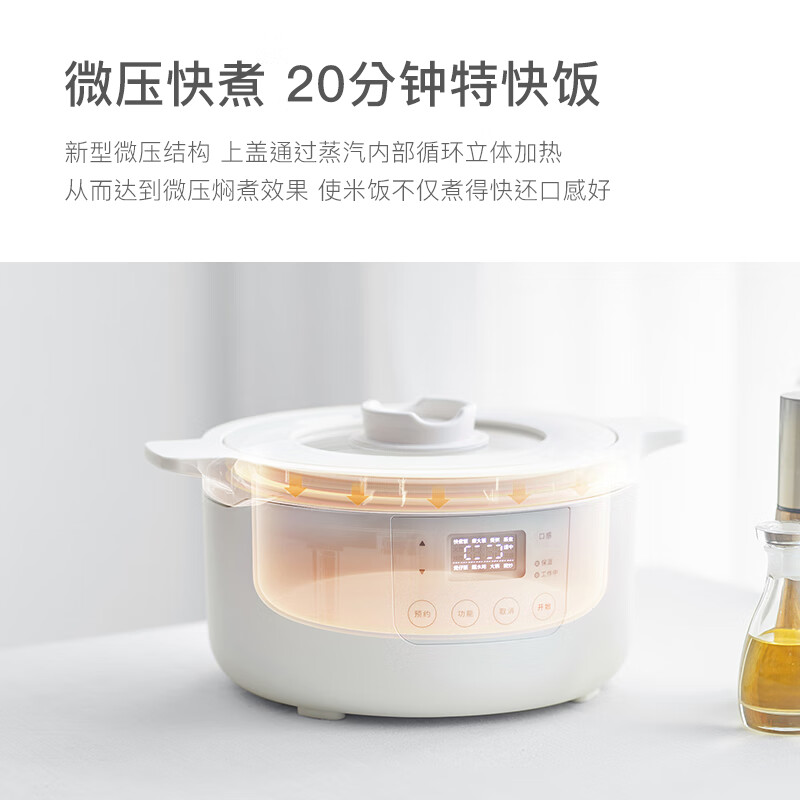OLAYKS电饭煲家用2L多功能蒸煮炖煲汤一体2-4人智能预约 3L 陶白-双层竹笼+炖盅+pp蒸笼DFB06005高清大图