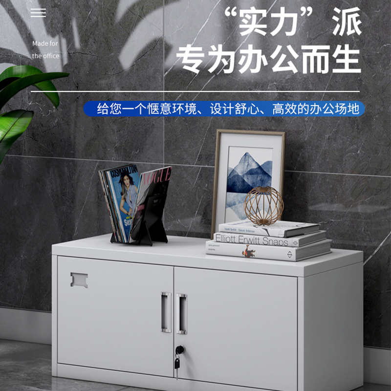 山利奥 文件柜 五节柜 矮柜 单节 SLA-0908A 1节高清大图