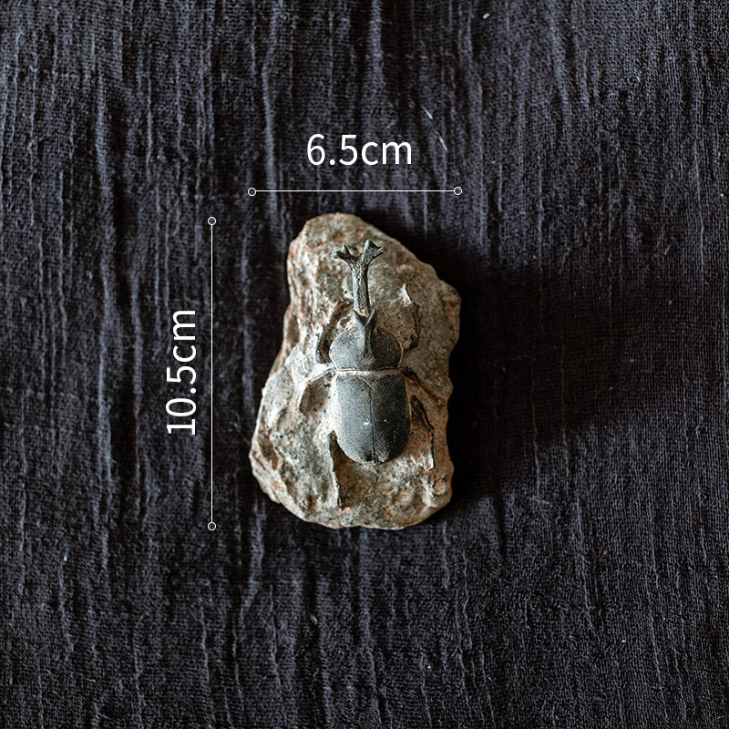 史前化石系列冰箱贴 鱼骨甲虫海洋生物艺术装饰摆件另类 F独角仙