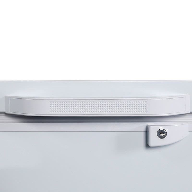 星星(XINGX) 518升商用大冷柜 大冷冻力冰柜 断电保护 冷藏冷冻转换柜 BD/BC-528GE图片