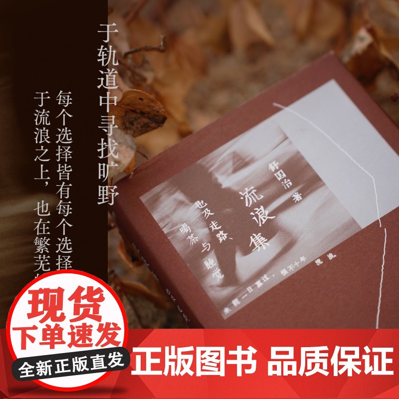 流浪集高清大图