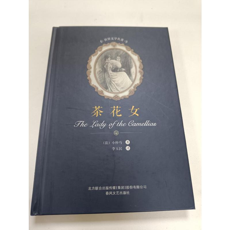 醉染图书茶花女9787531352211高清大图
