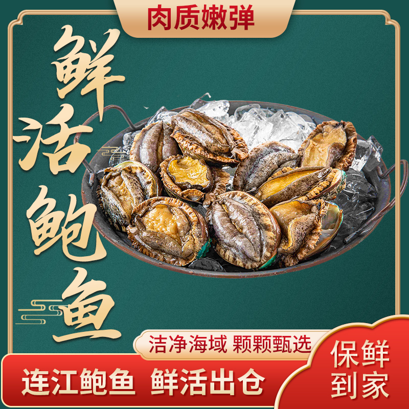 明盛恒海 甄选活鲍8头鲍/3斤