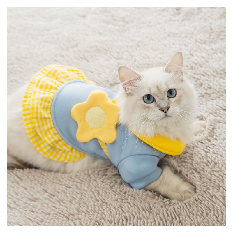 可爱公主裙猫咪衣服小奶猫猫宠物无防掉毛狗狗保暖春秋装薄款新年