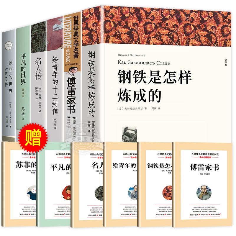 八年级下册名著全套(全6册) [正版]傅雷家书 名人传 十二封信等 全套6册 八年级下册必读原著书籍怎么样练成怎么人教版