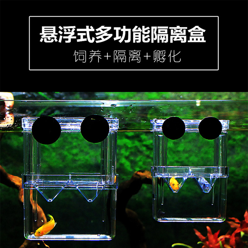 鱼缸繁殖隔离盒 保护小鱼下崽热带鱼产房孵化盒 孔雀鱼小型悬浮式高清大图