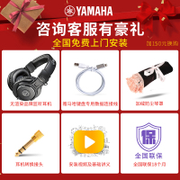 雅马哈YDP184 YAMAHA 印尼进口163升级款推盖立式智能电钢琴