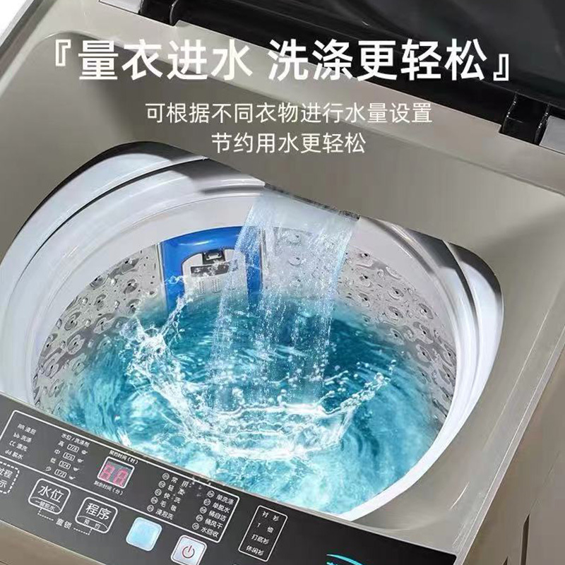 志高 6公斤 波轮洗衣机 除菌
