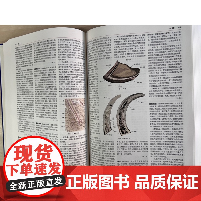 [央视网]中国大百科全书 第三版 兽医学 中国第一部全面系统介绍兽医学科知识的综合性百科全书 BK高清大图