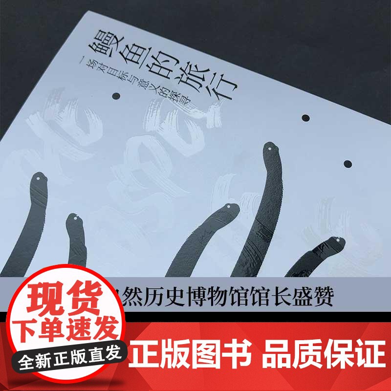 鳗鱼的旅行 帕特里克•斯文松著文津奖图书瑞典文学鳗鱼神秘浪漫生命之旅艺术现当代文学散文小说书籍高清大图