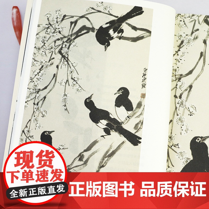 花能解语 带你读懂齐白石 吕立新著中国现当代近代艺术家画家齐白石传记书籍高清大图