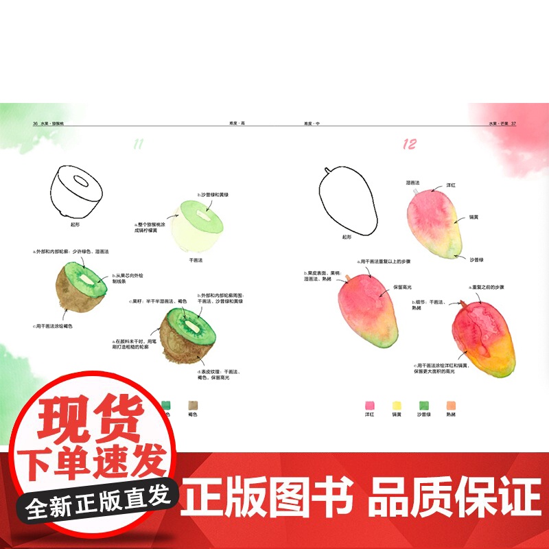 正版 一学就会的4步水彩画 轻松画生活 技法 玛丽娜巴卡索娃 水彩入门实用书籍 上海书画出版社高清大图