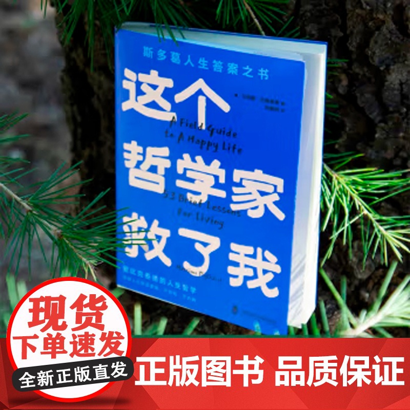 这个哲学家救了我:爱比克泰德的人生哲学 斯多葛人生答案之书,洞彻人生底层逻辑,不纠结,不内耗高清大图