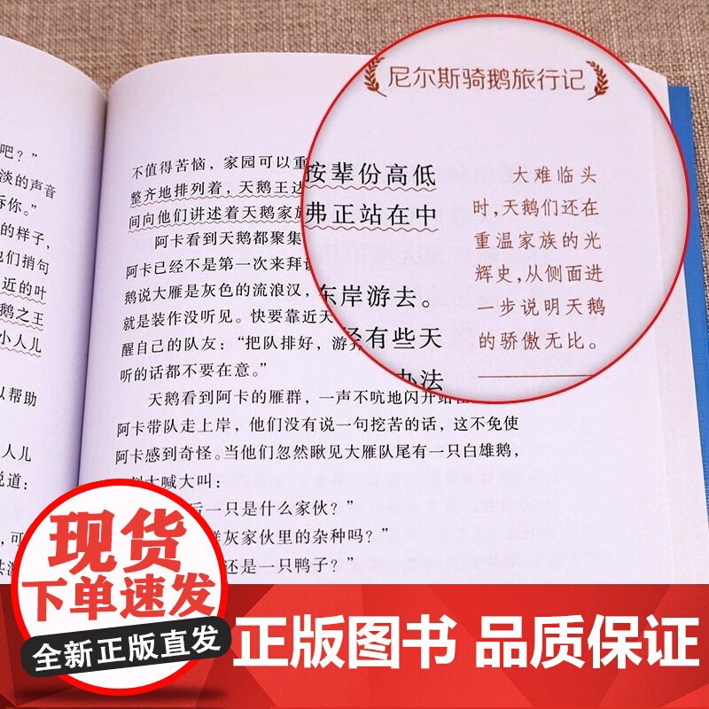 骆驼祥子+海底两万里全2册 七年级下册课外阅读 世界经典文学名著青少年儿童文学读物高清大图
