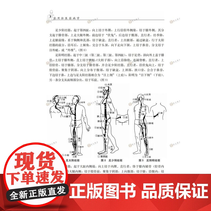 实用壮医筋病学 韦英才编著黄帝内经燔针劫刺技术 常见人体多部位筋伤治疗 中国壮医经络学说理论 临床治疗筋病实践总结参考书高清大图