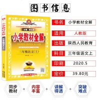2021新版薛金星小学教材全解三年级语文上册人教版部编版教材知识点同步讲解训练题教材同步全解全析3三年级语文上册教材