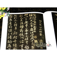 [正版]颜真卿历代名家书法王冬梅编 祭侄文稿争座位帖祭伯父文稿刘中使帖自书告身帖竹山堂连句 颜体毛笔字帖书籍临摹