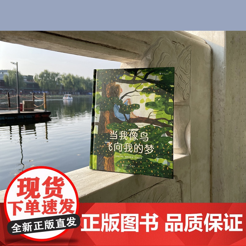 当我像鸟飞向我的梦 8-12岁青少年成长励志文学绘本 一个女孩追求梦想、坚持自我的励志故事绘本 瑞典文学奖作品 后浪童书高清大图