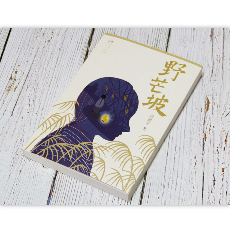 野芒坡 [正版]全新 野芒坡 殷健灵系列儿童文学长篇力作 曹文 轩力荐青少年成长励志故事 8-12-15岁四五六年级中小