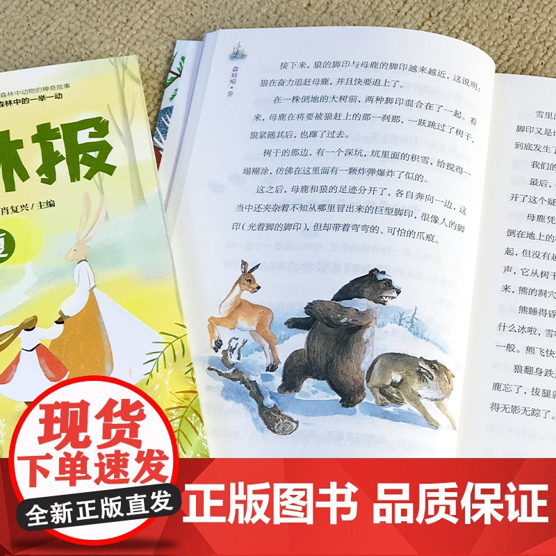 森林报春夏秋冬全套4册正版四年级下册同步课本书目小学生三年级五年级课外阅读书籍绘本非注音经典童话故事书沈石溪狼王梦作家榜高清大图