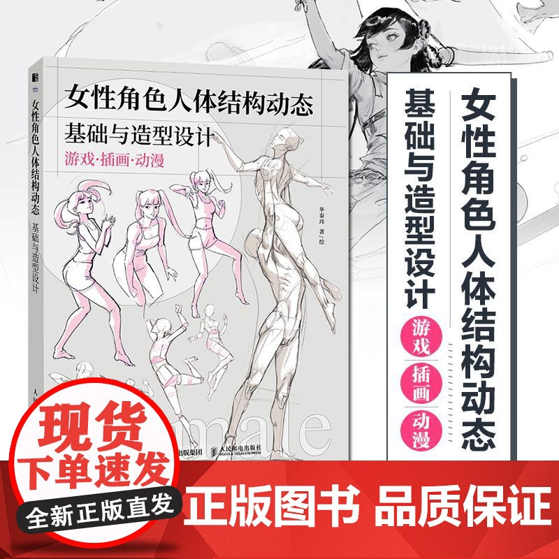 女性角色人体结构动态基础与造型设计 人体结构动态人体解剖肌肉与线条动漫人体造型插画设计构图高清大图