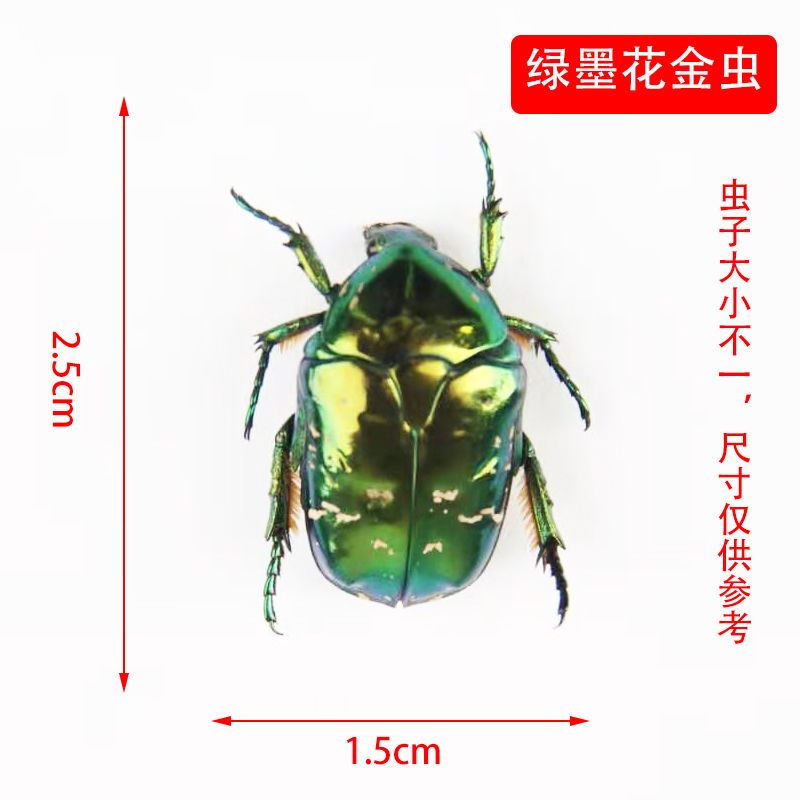图书其它其他报价_参数_图片_视频_怎么样_问答-苏宁易购
