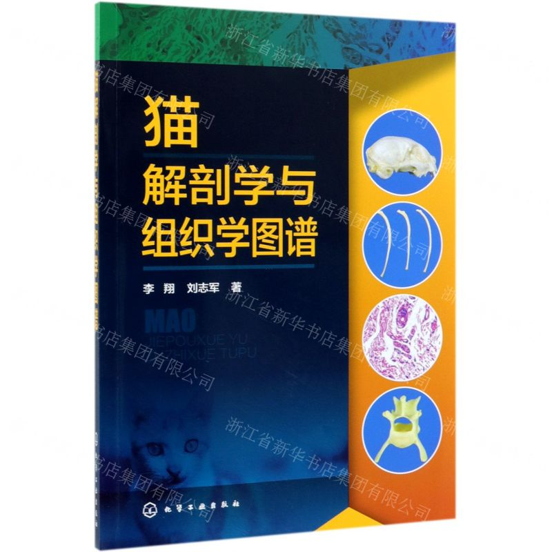 [N]猫解剖学与组织学图谱-9787122347374高清大图