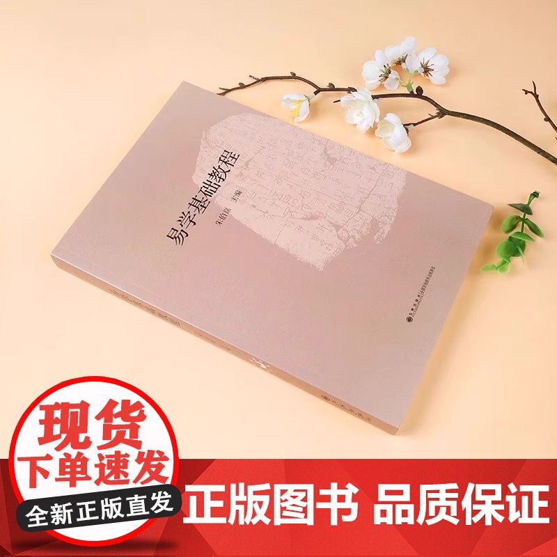 易学基础教程 朱伯崑易经经典国学周易知识系统中华民族传统文化书籍图书 学周易入门图书 初学周易图书周易大全书 易学理论书高清大图