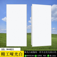 FPBQ 集成吊顶铝扣板300x600 精工珠光白07厚 不含配件