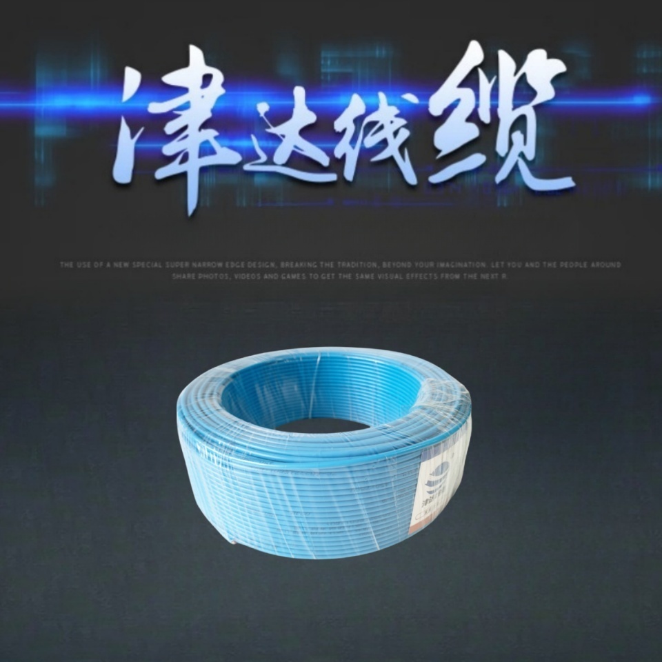 津达 塑铜线ZC-BV6蓝色450/750V 米高清大图