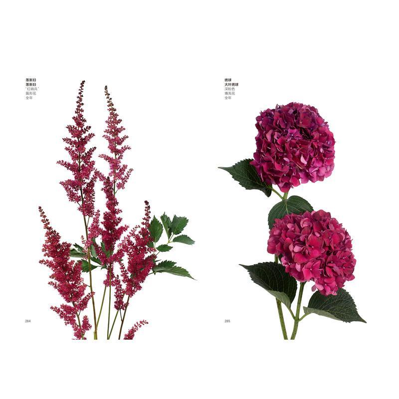 友一个正版花卉色彩搭配手册配色手册