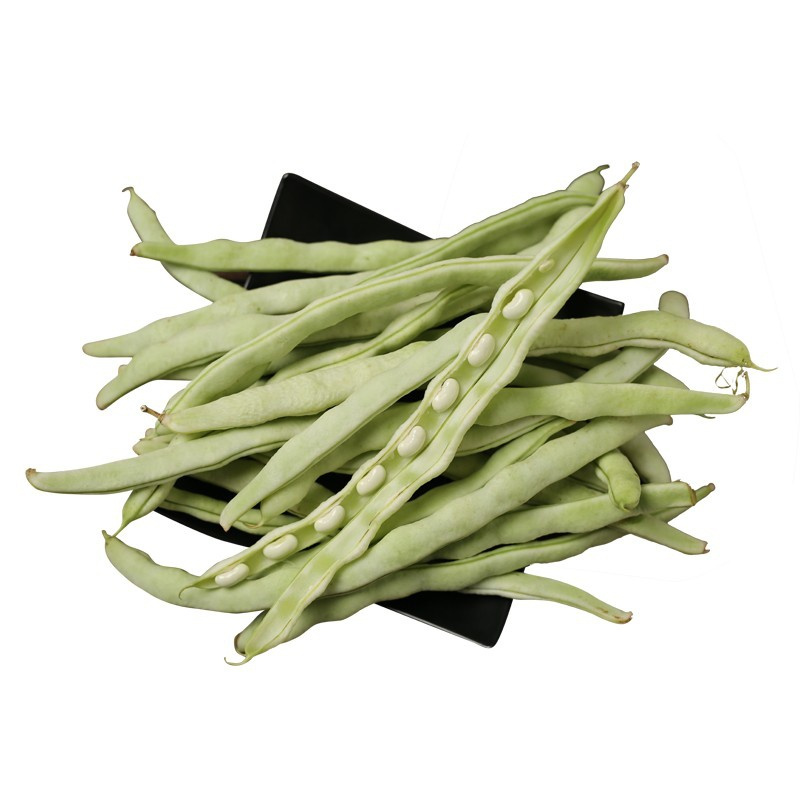 15kg顺丰东北白豆角农家新鲜蔬菜四季豆芸豆白架豆白不老视频