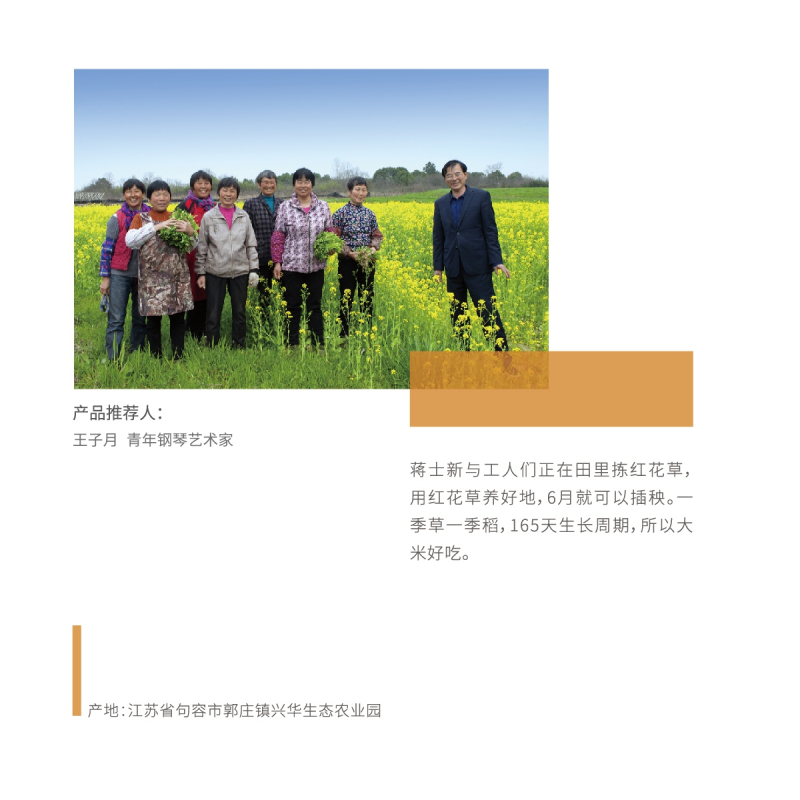 景仰(简装) 虬山湖农科院一代种大米南粳46号10斤
