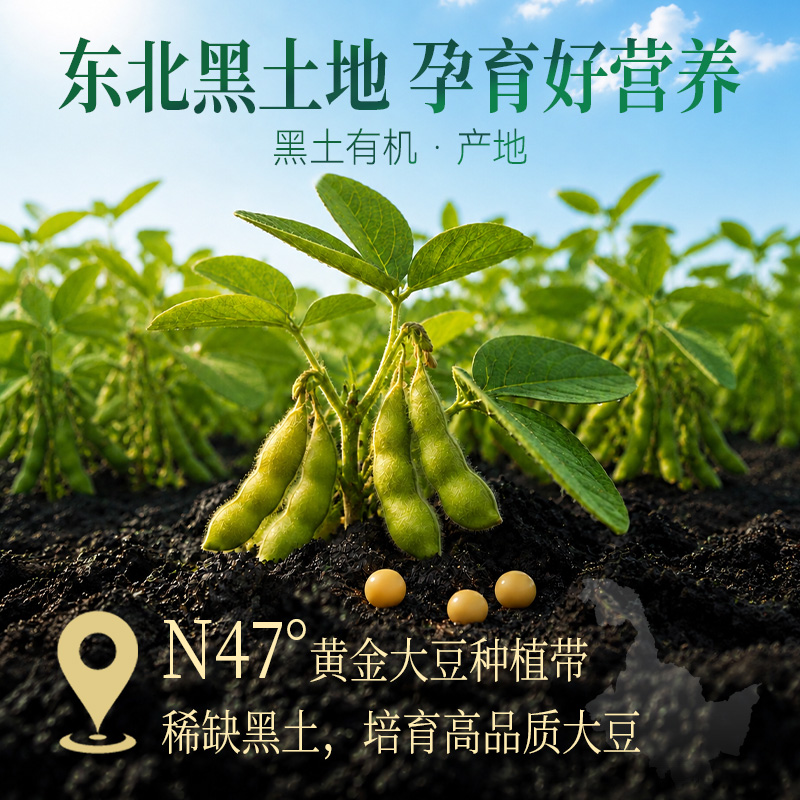 九阳豆浆有机纯豆浆粉0添加糖高蛋白 有机黄豆20g*10条*2袋(共20条)+赠胖胖杯+2条尝鲜装(共22条)高清大图
