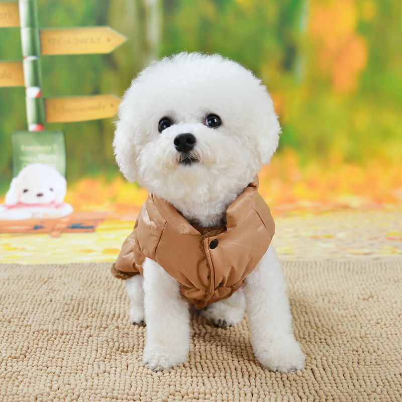 大红马甲xs小狗狗冬装泰迪衣服狗棉衣冬比熊冬季宠物狗衣服棉袄狗狗