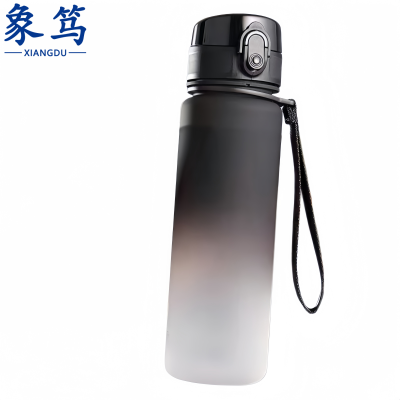 象笃 水杯礼品650ml个