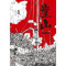 崖 山 后浪出品 崖山 从钓鱼城至崖山,二十年宋战争史