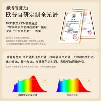 欧普北欧风格灯具餐厅灯吊灯现代简约餐厅吊灯创意全光谱咖啡豆