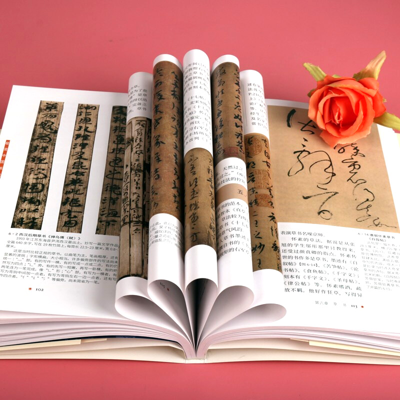 [醉染正版]正版 极简中国书法史 篆书隶书楷行草 碑帖甲骨文字的演变历史故事艺术史王羲之兰亭序祭侄稿陆机平复帖苏轼米芾黄高清大图
