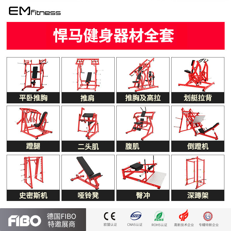 亿迈健身房全套悍马器械平卧推胸高低拉背驯练器大腿屈伸深蹲力量器材-EM922-侧抬臂驯练器高清大图