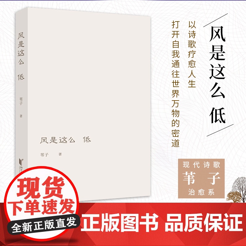 [浙江文艺出版社] 风是这么低 苇子著 以诗歌疗愈人生 关注内心关注自我 打开自我通往世界万物的密道 治愈系现高清大图