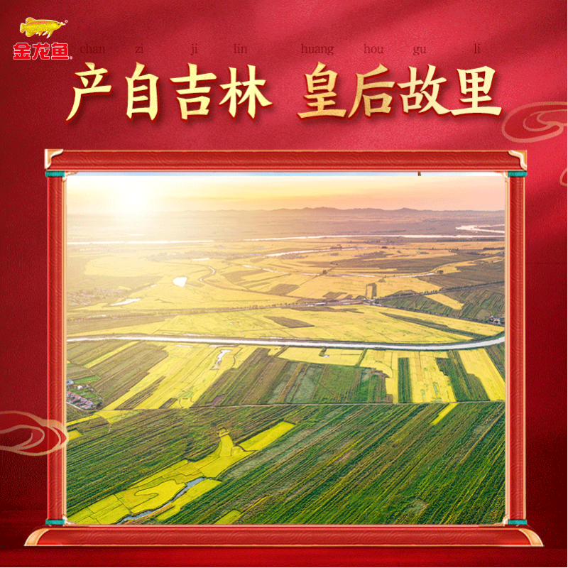 金龙鱼 乳玉 皇妃稻香贡米5kg高清大图