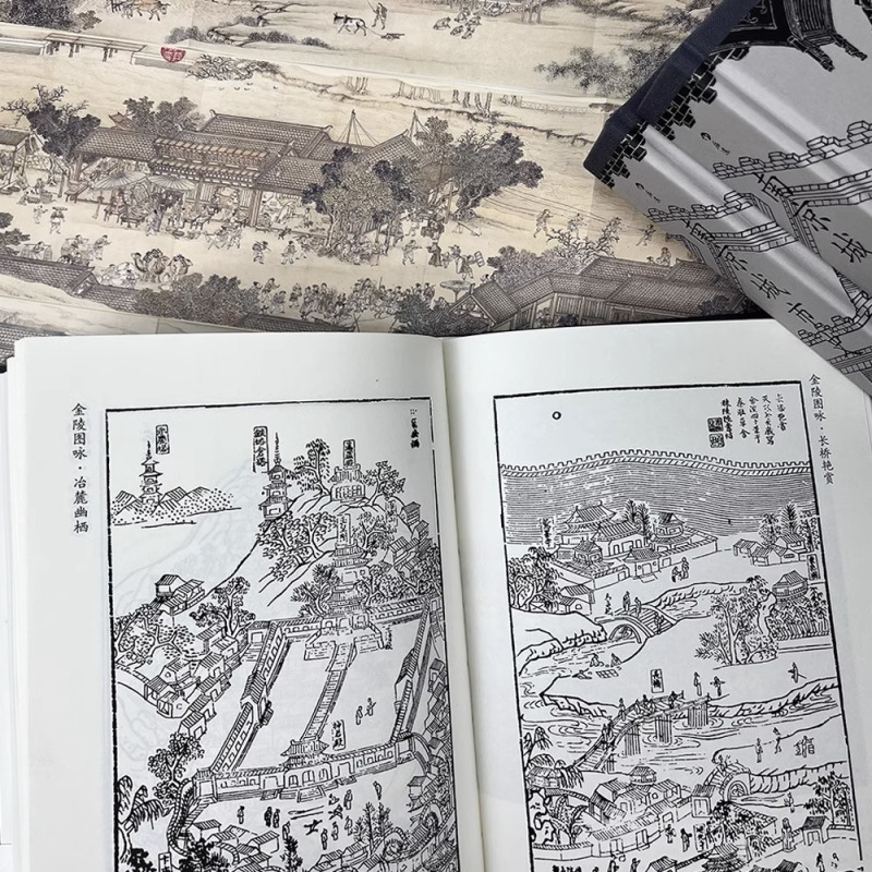 [正版]央视网南京城市史 赠10米金陵图附册 中国古城历史文化建都发展史书籍 金陵胜景老城新貌 全景展现六朝古都成长图