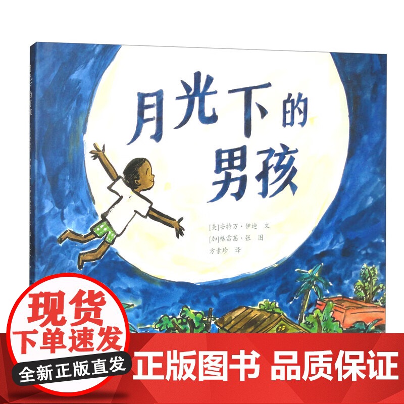 月光下的男孩 安特万·伊迪 著 儿童文学高清大图