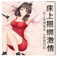 谜姬(Mizz Zee) 手铐脚铐口塞皮鞭调情器具套装十件套 成人情趣性用品玩具 调教十件套黑色