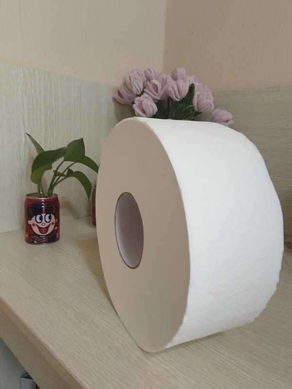 柔沁雅RQY-600 125*91mm 四层 珍宝大盘纸 无香型 600克/卷(单位:卷)高清大图