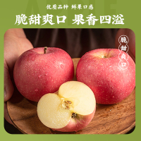 苏选【苏宁自主品牌】烟台栖霞红富士苹果 5斤装（75-80mm）