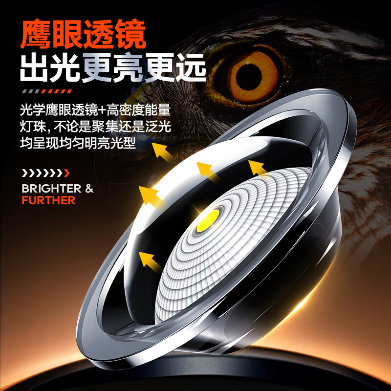 PHILIPS 充电手电筒 可充电式 单位:个