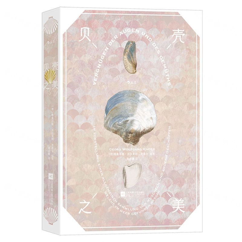 [N]贝壳之美(精)-9787559471819高清大图